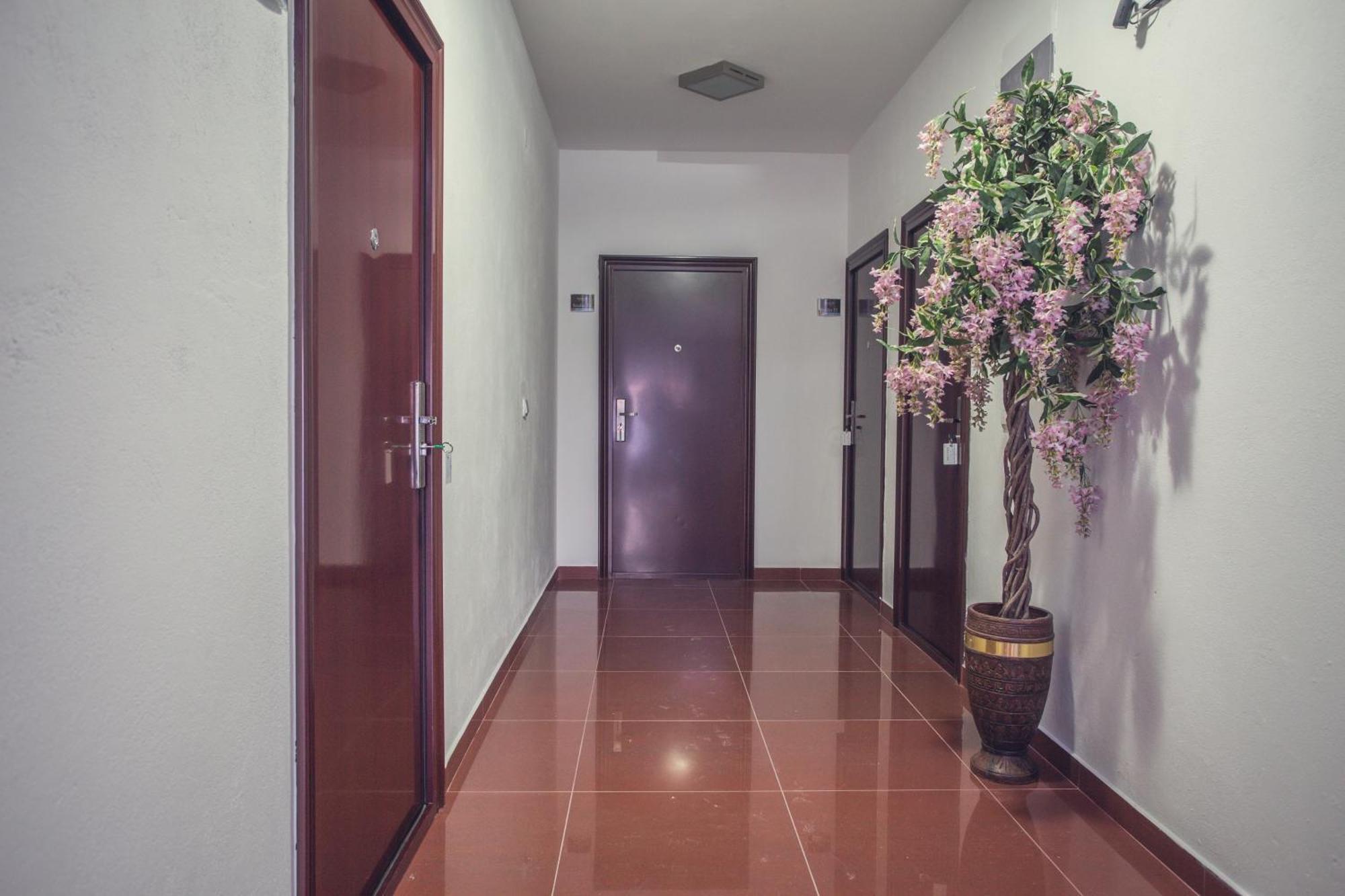 Apartments Atlantis دوبرا فوفا المظهر الخارجي الصورة